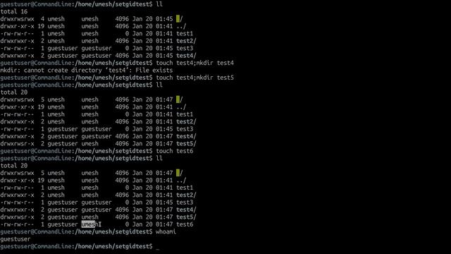 024 - How To Use SetUID, SetGID, And Sticky Bits | Manage File Ownership | Linux For Beginners смотреть онлайн