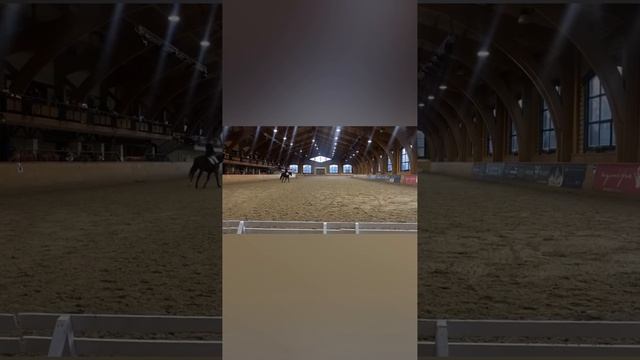 Выездные соревнования смотреть онлайн