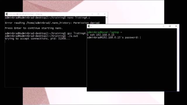 Internet Programming 101 смотреть онлайн