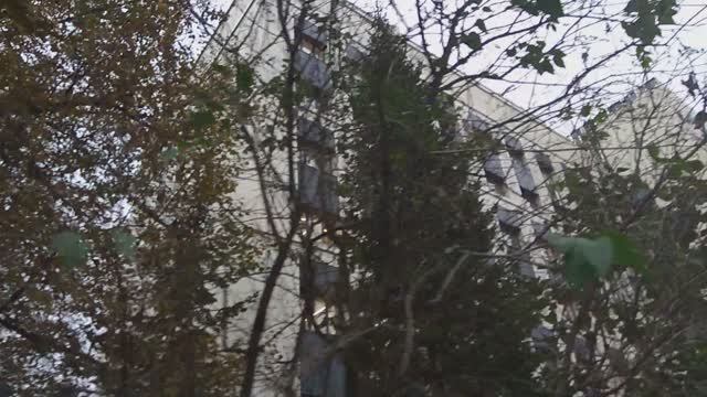 Поликлиника N 69 (11.10.2024) кладут местами рулонный газон.