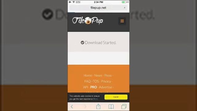 Download Any Video IPhone App(Video Downloader Pro Tutorial)-2015