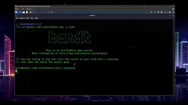 Learn How To Hack With Linux CTFs смотреть онлайн