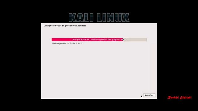 Installation de kali linux 2.0 sur VMware смотреть онлайн