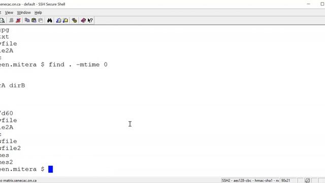 Linux : Managing Files смотреть онлайн