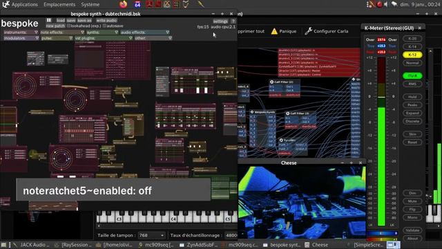 Dub techno With Librazik linux / Bespoke / Carla / RE-20 space echo and Waldorf 2-pole ! смотреть онлайн