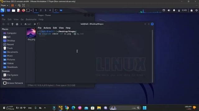 Lecture 4 تطبيق عملي بأستخدام اداة Steghide in Linux смотреть онлайн