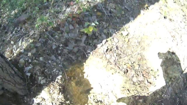 КТО ЗА ГРИБАМИ??? А МЫ ЗА РЕЛЬСАМИ И ПРОЧИМ МЕТАЛЛОМ!!! смотреть онлайн