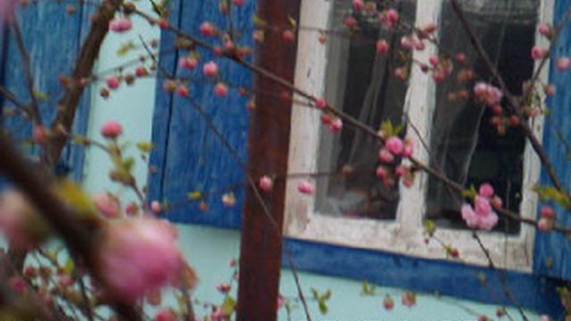 DSCF0001 пасхальная роза