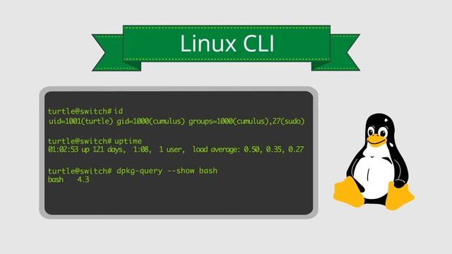 Introduction to open networking смотреть онлайн
