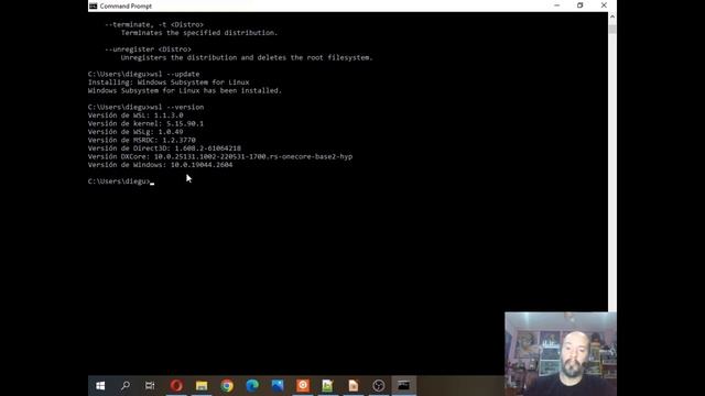 Implementar SystemD en Ubuntu 22.04 sobre WSL - (Windows Subsystem for Linux) смотреть онлайн