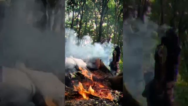 Позывной КОТ смотреть онлайн