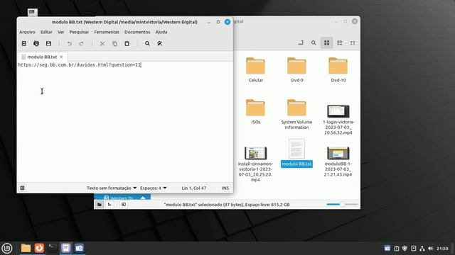 Instalando o Guardião BB (Banco do Brasil) no Linux Mint 21.2 Victoria. Problemas e Soluções смотреть онлайн