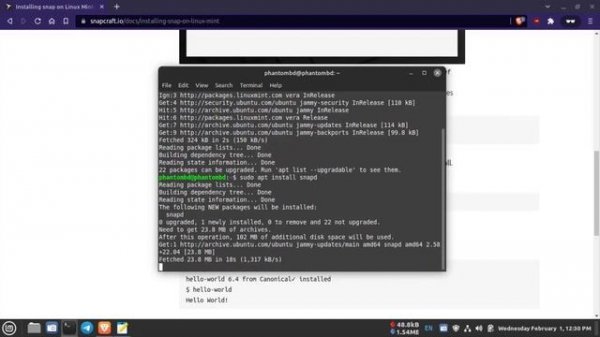 How To Install Snapd In Linux Mint | 2023 | Install Snap