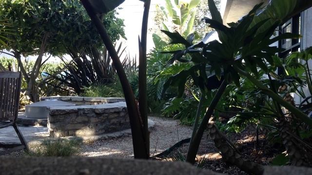 Time-Lapse Test on iPhone (iOS 8 Beta) смотреть онлайн