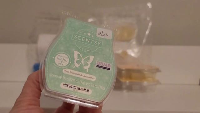 Weekly Wax Meltdown! What I've Been Warming - Scentsy, Sassy Girl, RoseGirls, Teddy Bee's, BBW смотреть онлайн