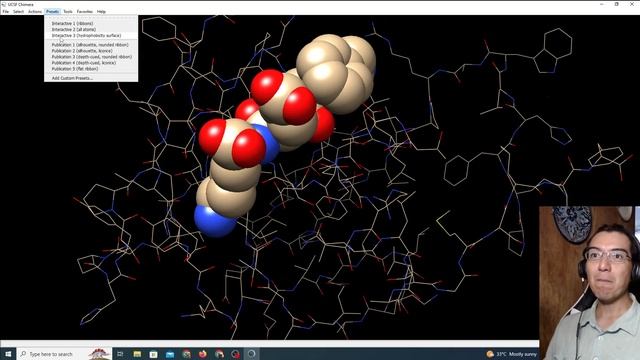 modeling, docking and structure analysis using UCSF Chimera смотреть онлайн