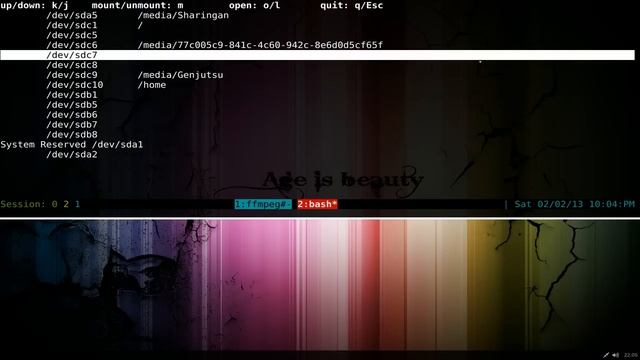 Mountie - Quickly Mount and Unmount Devices - Linux TUI смотреть онлайн
