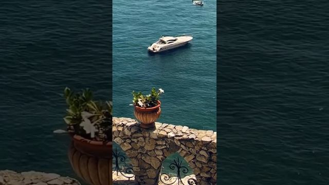 YachtLife смотреть онлайн