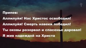 Нас разделяла с Тобою пропасть (Я жив надеждой) || Living Hope || BV Music