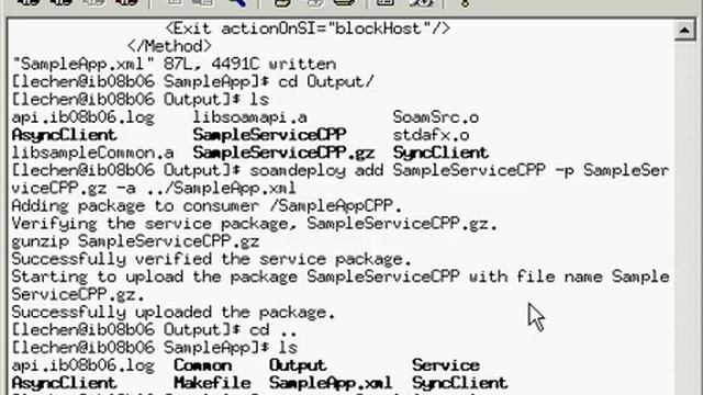 Re-run Symphony DE Service in Debugger смотреть онлайн