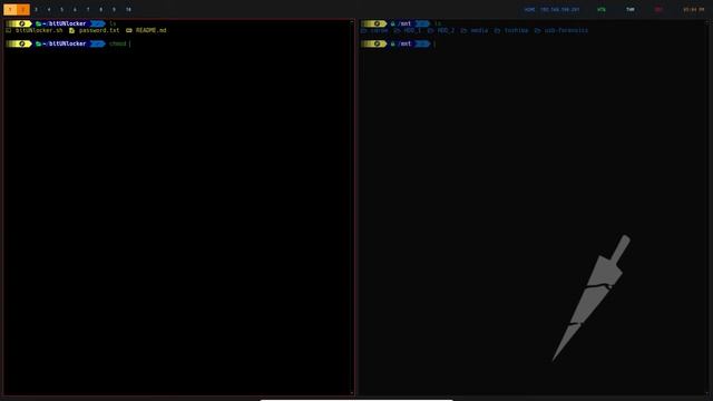 bitUNlocker - Decrypt and mount easly Bitlocker disks on Linux systems. смотреть онлайн