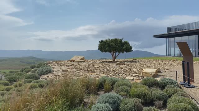 Прогулка по территории винодельни Гай-кодзор