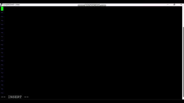 Shell Script कैसे लिखी जाती है | Unlock the secrets of shell scripting: Step-by-step tutorial смотреть онлайн
