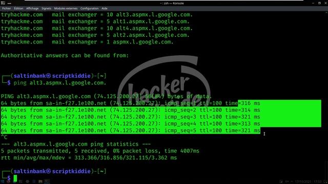 SALTINBANK - TTP ETAPE I [RECONAISSANCE PASSIVE] WHOIS, NSLOOKUP, DIG, DNSDUMPSTER, SHODAN ... смотреть онлайн