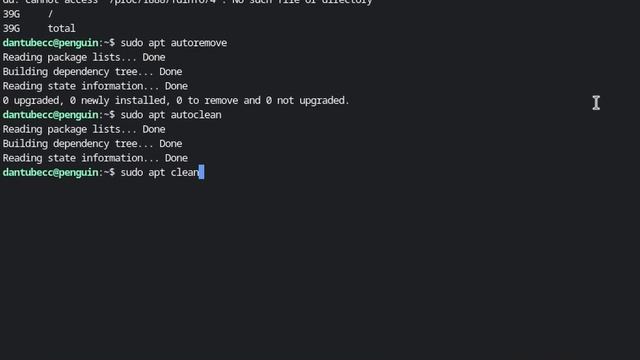 How to clean up and reduce Linux Storage space on your Chromebook смотреть онлайн