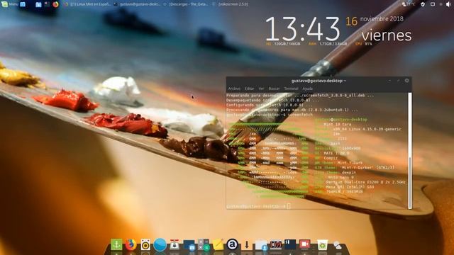 Mi Linux Mint 19 Tara-MATE смотреть онлайн