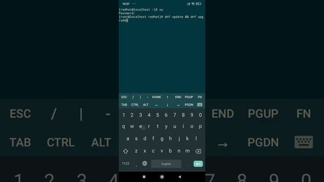 How to update and upgrade all installed packages in Red Hat Linux 8 by command line (terminal) смотреть онлайн