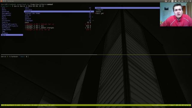 linux ranger file manager смотреть онлайн