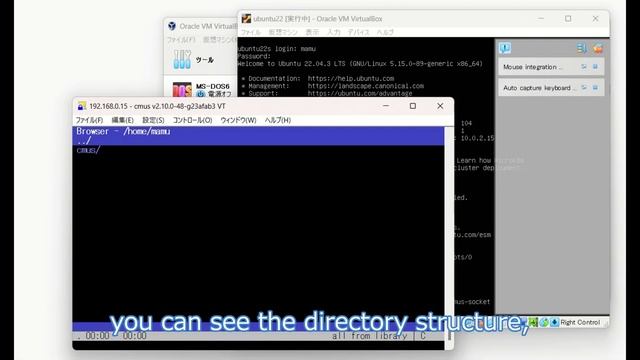 Mastering CUI Music Players on Linux: cmus, ncmpcpp, & MPD Installation & Setup смотреть онлайн