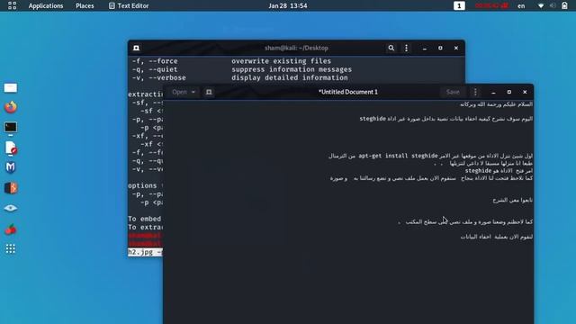 كيفية اخفاء بيانات نصية او رسائل بداخل صورة عبر أداة steghide للتراسل المشفر عبر الصور و استخراجها смотреть онлайн