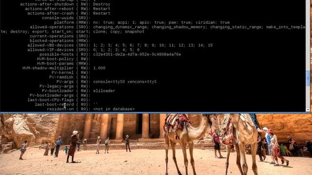 Virtual machine (PV) migration from openSUSE13.2 to Citrix XenServer via CLI смотреть онлайн
