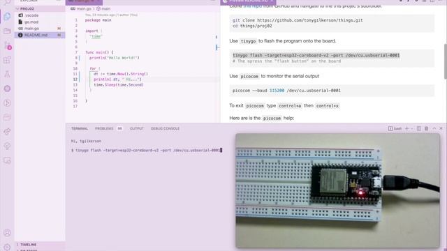 TinyGo ESP32 Serial Monitor With Picocom CLI