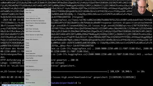 Running a local Piper TTS server with Python on Linux смотреть онлайн