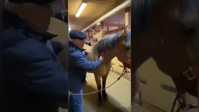 Благотворительный четверг смотреть онлайн