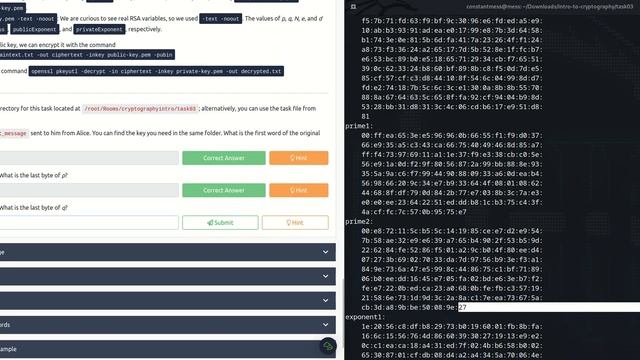 Introduction to Cryptography TryHackMe смотреть онлайн