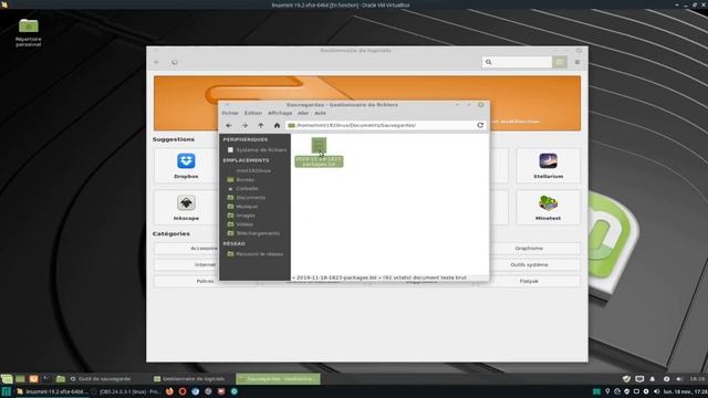 Mint 19.2 Linux ( Test Outil de sauvegarde (logiciels) ( FR смотреть онлайн