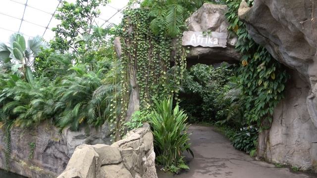 Tour of Gondwanaland at Zoo Leipzig смотреть онлайн