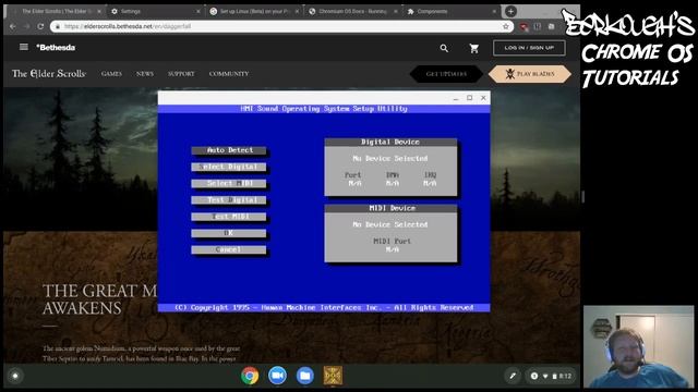Berkough's Chrome OS Tutorials - DosBox and Daggerfall! смотреть онлайн