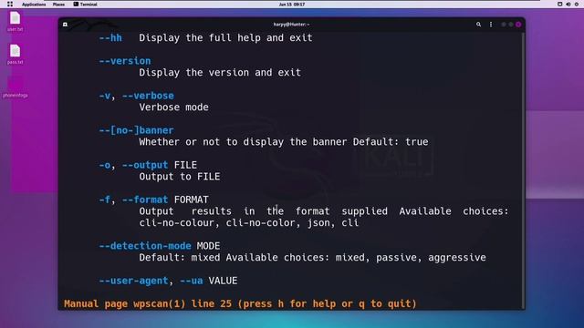 Supercharge Your WPScan with Wapplayzer: Dominating WordPress Security in Bug Bounties! смотреть онлайн