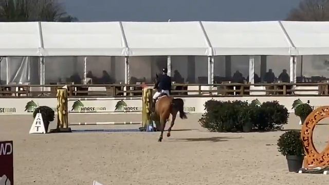 8 yo baloubet x Cento final young horses csi 2 ** lier 👍👍 смотреть онлайн