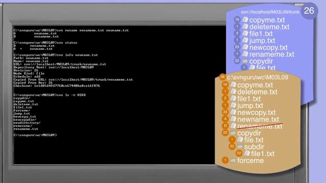 298_01-Subversion: svn move;move and rename files and directories смотреть онлайн