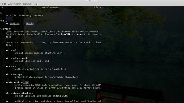 6- Linux Command Line Part 1 смотреть онлайн