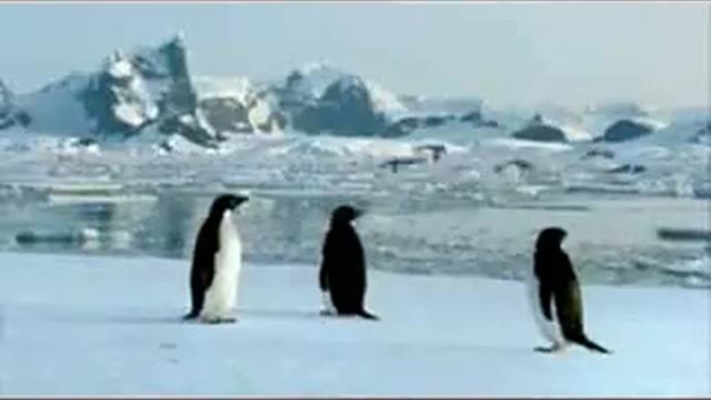 Pub Linux "Fly" смотреть онлайн