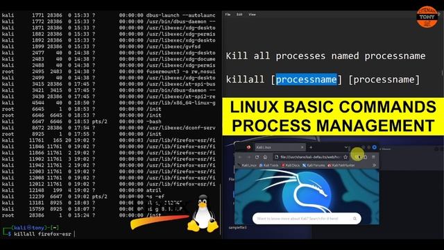 Linux Basic Commands - Process Management смотреть онлайн
