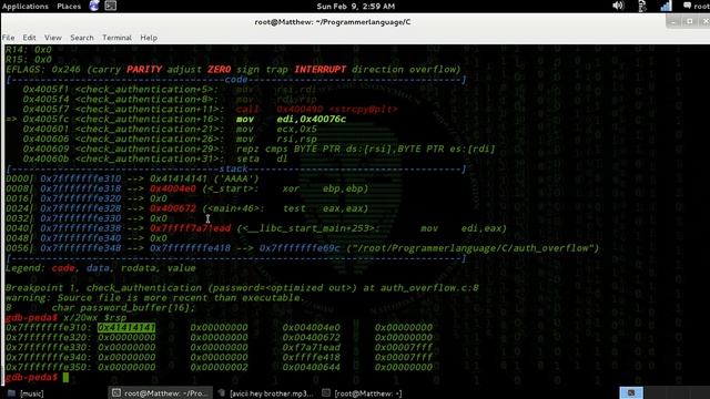 Reverse Engineering In Linux With Peda DBG смотреть онлайн